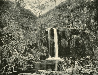 Chutes de Back Creek, rivière Buchan, Victoria - Unbekannt