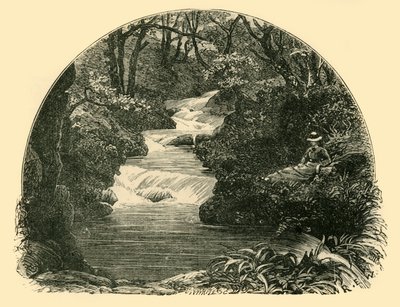 Toboggan de Bagworthy, 1898 - Unbekannt
