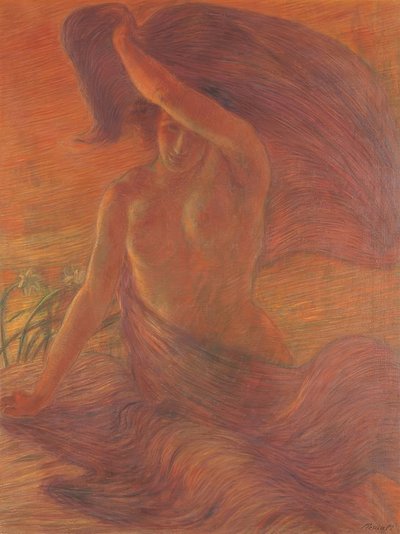 Femme seins nus portant un voile comme robe - Unbekannt