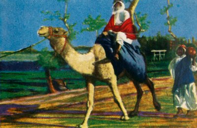 Bédouin à dos de chameau, Égypte, c1928 - Unbekannt