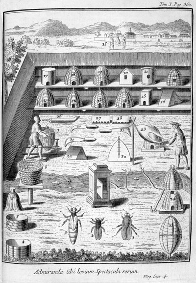 Apiculture, 1775 - Unbekannt