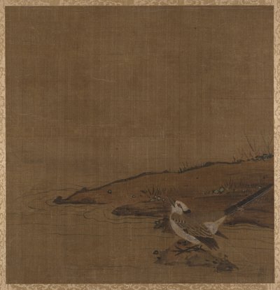 Oiseau près de l