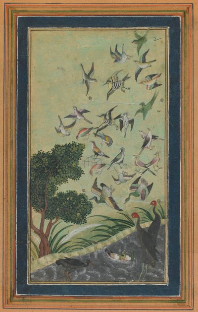 Oiseaux à Baran, peut-être du Babur-nama, fin XVIe siècle - Unbekannt