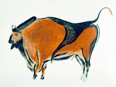 Bison, copie d