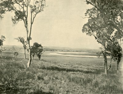 Lagon du Cygne Noir, près de Warwick, Queensland, 1901 - Unbekannt