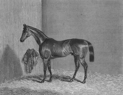 Bloomsbury, 1836-1861, 1911 - Unbekannt