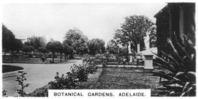 Jardins botaniques, Adélaïde, Australie, 1928 - Unbekannt
