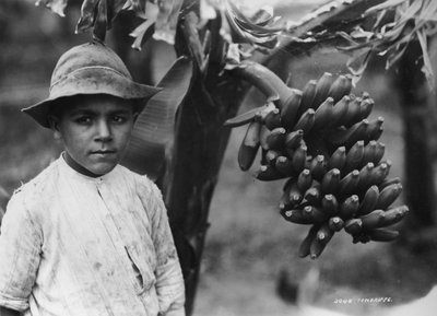 Garçon avec des bananes poussant sur un arbre, Tenerife, Îles Canaries, Espagne - Unbekannt