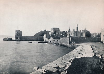 Île de Branksea - Vue générale du château, 1895 - Unbekannt