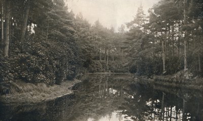 Branksome Chine et le lac, vers 1910 - Unbekannt