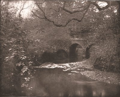 Ruisseau et pont dans la New Forest, Hampshire, 1894 - Unbekannt