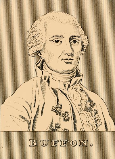 Buffon, 1707-1788, 1830 - Unbekannt