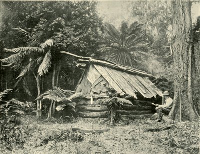 Cabane de brousse, Dandenong Ranges, Victoria - Unbekannt