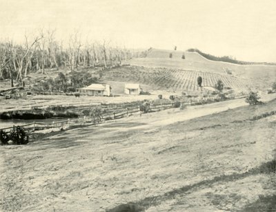 Maison de travailleur de brousse, Gippsland, Victoria, 1901 - Unbekannt