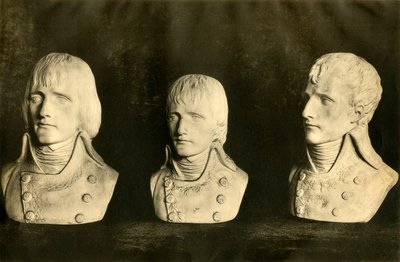 Busts de Napoléon - Unbekannt
