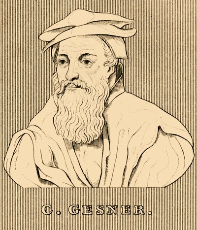 C. Gesner, 1516-1565, 1830 - Unbekannt