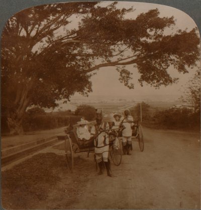 Cabs tirés par des indigènes sur une route résidentielle, Durban, Afrique du Sud, c1900 - Unbekannt