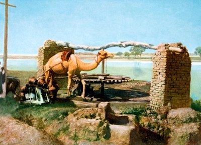 Chameau et shadouf, Louxor, Égypte, 20e siècle - Unbekannt
