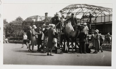Balade à dos de chameau, vers 1930 - Unbekannt