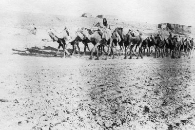 Caravane de chameaux, Mossoul, Mésopotamie - Unbekannt