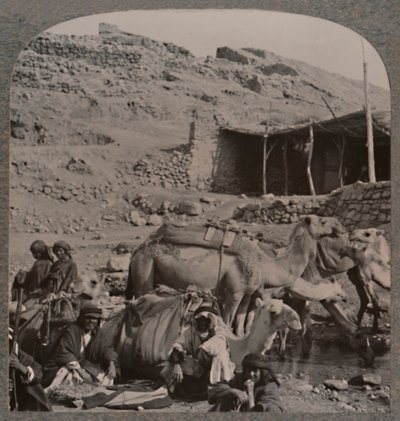Caravane de chameaux de Jerash, s