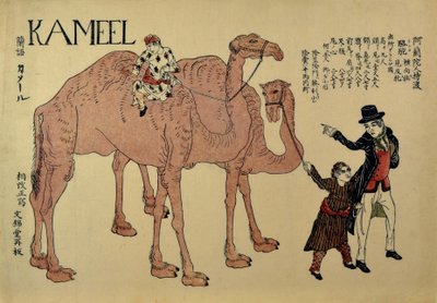 Chameaux avec des guides néerlandais, vers 1821 - Unbekannt