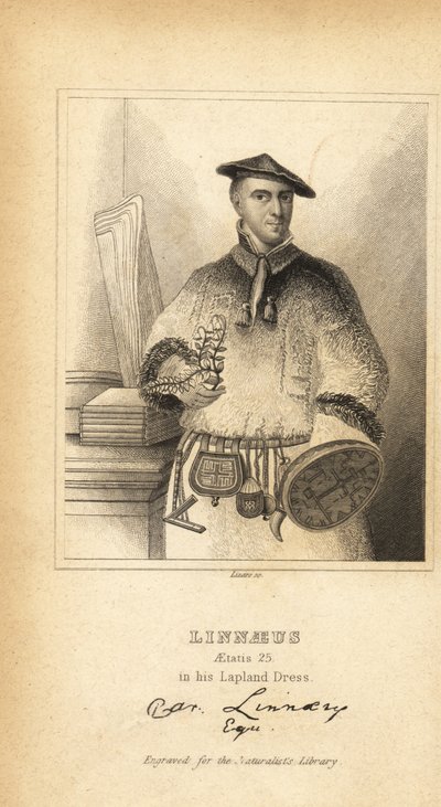 Carl Linnaeus en costume lapon, botaniste, médecin et zoologiste suédois, inventeur de la nomenclature binomiale - Unbekannt
