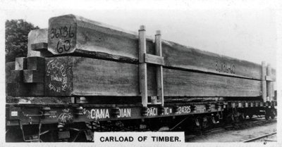 Wagon de sapin de Douglas, Canada, vers les années 1920 - Unbekannt