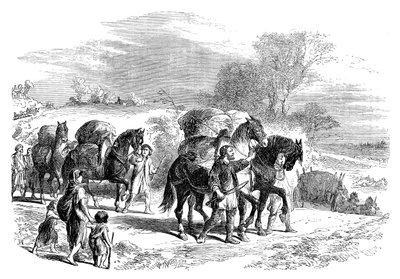 Transport de pain à Londres sur des chevaux de bât, vers 1895 - Unbekannt