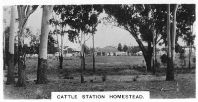 Ferme de station de bétail, Australie, 1928 - Unbekannt