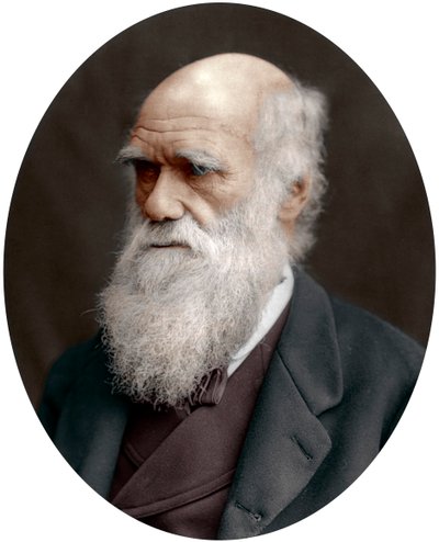 Charles Darwin, naturaliste britannique, 1878 - Unbekannt