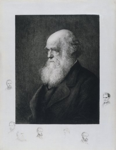 Charles Darwin, naturaliste anglais, vers les années 1860 - Unbekannt