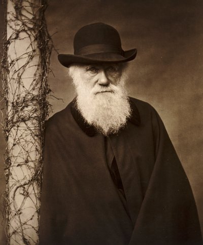 Charles Darwin chez lui à Down House, Kent, vers 1880 - Unbekannt