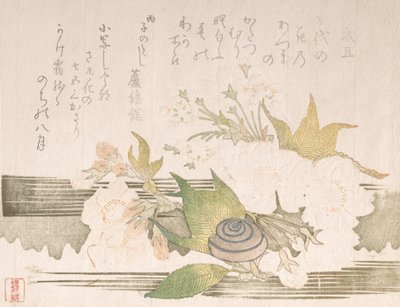Fleurs de cerisier et un escargot, 1816 - Unbekannt