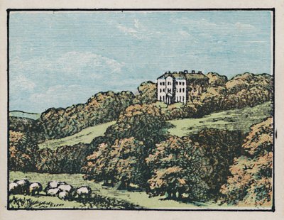 Chesterfield, vers 1910 - Unbekannt