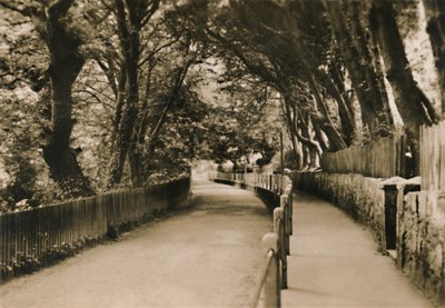 Avenue de Chine, Shanklin, I.W., vers 1920 - Unbekannt