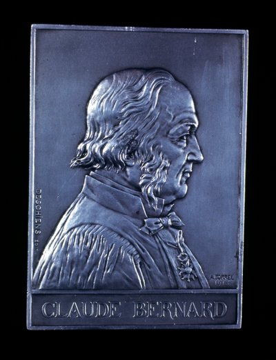 Claude Bernard, physiologiste français du 19ème siècle, 1913 - Unbekannt