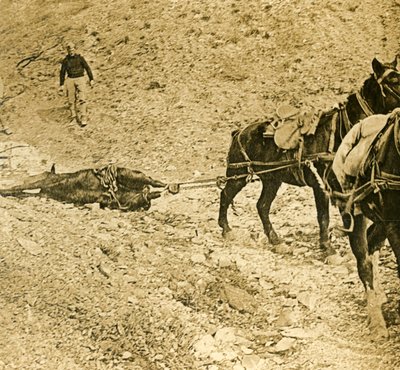 Nettoyage du champ de bataille, vers 1914-1918 - Unbekannt