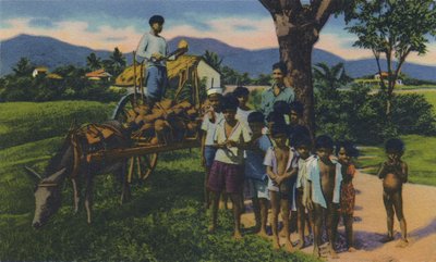 Vendeur de Noix de Coco, Trinidad, B.W.I., vers 1940 - Unbekannt