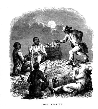 Épluchage de maïs, ouvriers noirs épluchant du maïs, sud des États-Unis, vers 1850 - Unbekannt