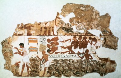 Comptage des oies : fragment de peinture murale de la tombe de Nebamun, Thèbes, Égypte, vers 1350 av. J.-C. - Unbekannt