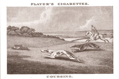 Coursing-11, 1924 - Unbekannt
