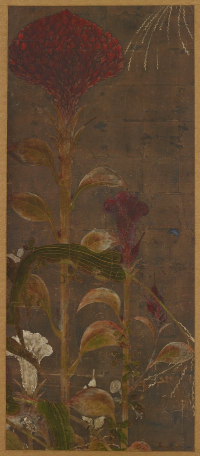 Coquelicots, maïs et gloires du matin, période Momoyama, 1568-1615 - Unbekannt
