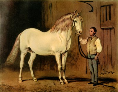 Cheval de Carrosse Crème de l