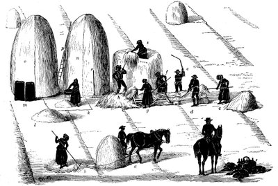 Rotation des cultures : battage de l