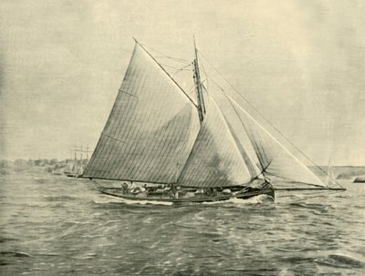 Croisière à Port Jackson, 1901 - Unbekannt
