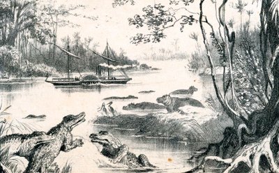 David Livingstone naviguant sur le Zambèze, Afrique, 1852-1864 c1878 - Unbekannt