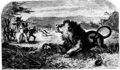 David Livingstone, sauvé d