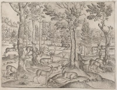 Cerfs dans la forêt, vers 1520 - Unbekannt