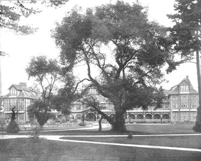 Del Monte, Monterey, Californie, USA, vers 1900 - Unbekannt